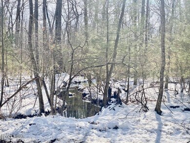 Lots18 &19 Loftus Ln, Dingmans Ferry, PA 18328 - photo 4