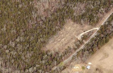 861 Cane Creek Rd, Kissee Mills, MO 65680 - photo 3