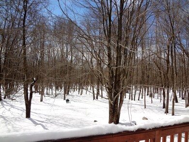 202 Forest Hill Dr, Blakeslee, PA 18610 - photo 5