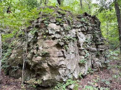 Tract 7 unit Terrapin Rd, Harrison, AR 72601 - photo 2