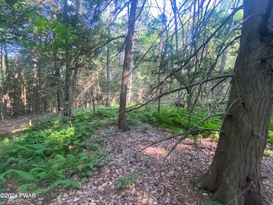 0 State Route 307 & Donny Dr unit PWBPW241930, Moscow, PA 18444 - photo 6