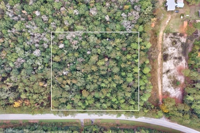 5040 Antioch Rd, Crestview, FL 32536 - photo 2