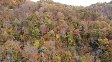 2810 Ogden Vest Rd, Leburn, KY 41831 - photo 6