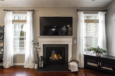 Gas Fireplace with blower...