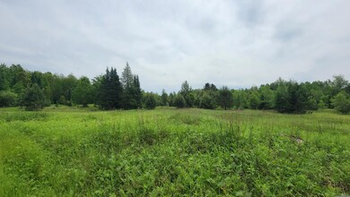 ON Cth A unit 4.62 Acres, Deerbrook, WI 54424 - photo 7