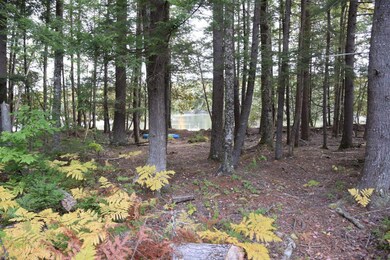 5a View of lake from property