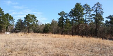0 Serina Woods Wood unit 651948, Lillington, NC 27332 - photo 5