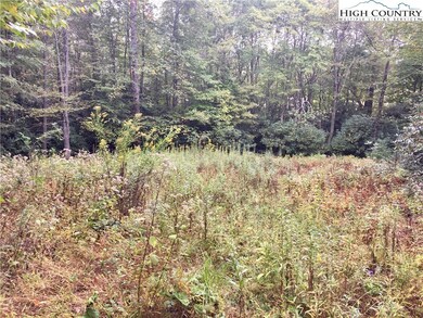 Almost level, private home site, beautifully woode