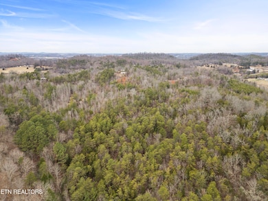 3940 Allegheny Loop Rd, Maryville, TN 37803 - photo 4