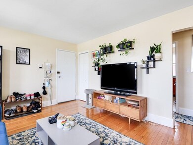 463 Arborway unit 9, Jamaica Plain, MA 02130 - photo 3