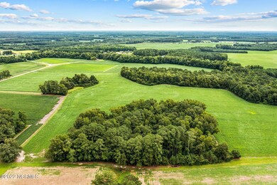 4-web-or-mls-DJI_0756