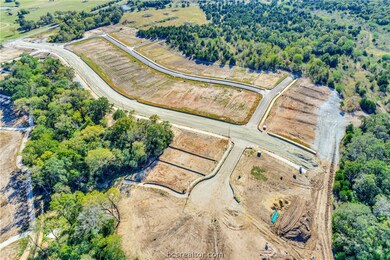 10611 Natural Pond Rd, College Station, TX 77845 - photo 7