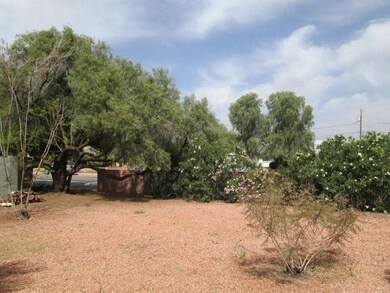 Desert Landscaping