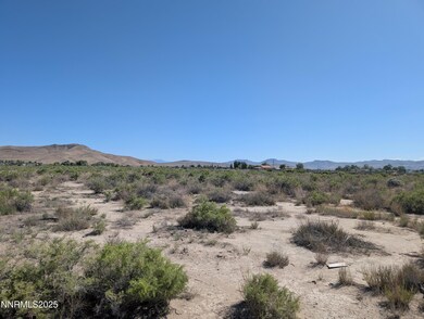 0 Cardon Ln unit 250051517, Yerington, NV 89447 - photo 3