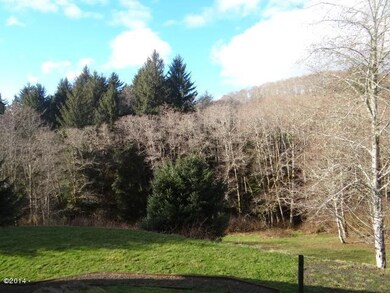 Grove of Alders down by the creek