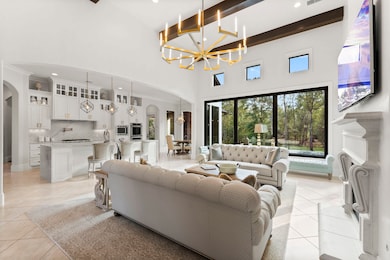 27374 Shady Hills Landing Ln, Spring, TX 77386 - photo 5