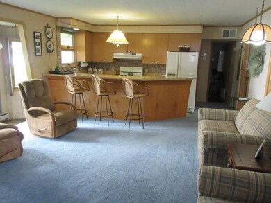 Living room and kitchen