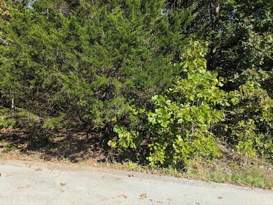 L20,21,22 B6 Lakota Trace, Cherokee Village, AR 72529 - photo 2