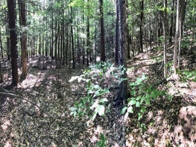 0 Chalk Pond Rd unit 1 4944686, Newbury, NH 03255 - photo 3