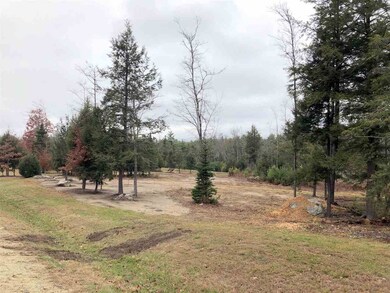 Lot 4 Farm Pond Ln unit Lot 4 aka Lot 23, Tuftonboro, NH 03816 - photo 3