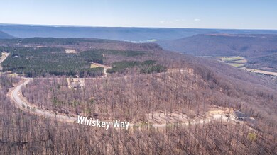 325 Whiskey Way, Jasper, TN 37374 - photo 6