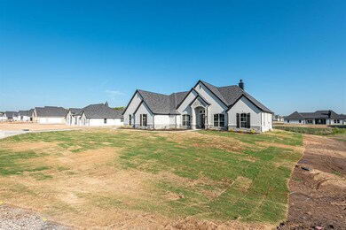 655 Winkler Way, Springtown, TX 76082 - photo 6