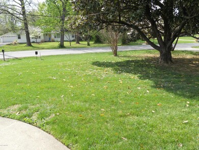 View of Front Yard