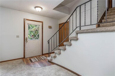 880 Alameda Ave, Sheffield Lake, OH 44054 - photo 4