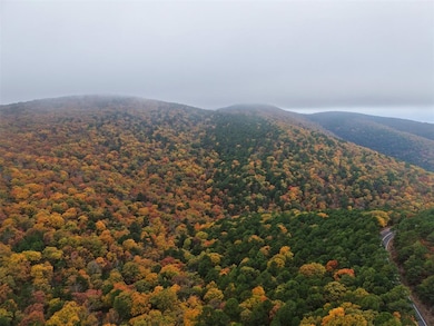 4179 Lafayette, Talihina, OK 74571 - photo 4