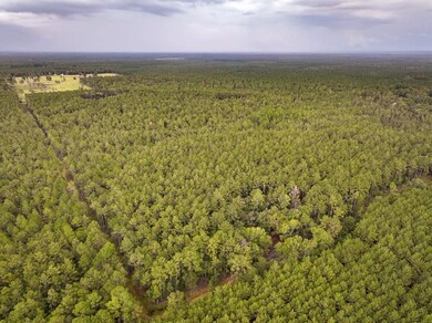 0 Jones Rd, Kountze, TX 77625 - photo 6