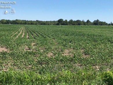 0 Devils Hole Rd unit 20192020, Pemberville, OH 43450 - photo 3