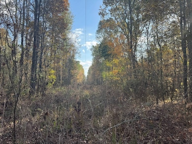 00 County Road 4026, Kosciusko, MS 39090 - photo 6