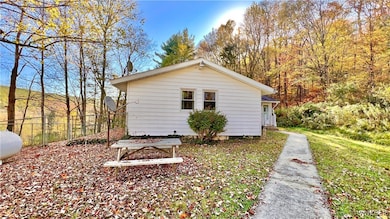 8905 W Bucktooth Run Rd, Little Valley, NY 14755 - photo 3