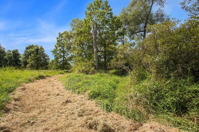 0 Marl Lake Rd, Athens Township, MI 49011 - photo 6
