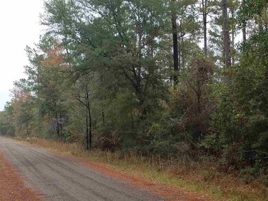 XXX Danley Grade, Crawfordville, FL 32327 - photo 4