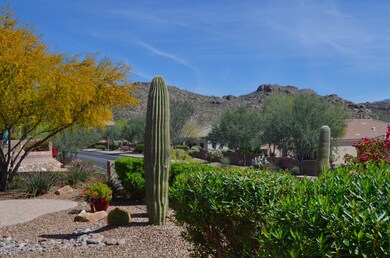 Back Mtn Yard Views
