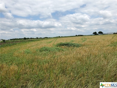 11801 W State Hwy 36, Temple, TX 76502 - photo 4