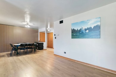 11015 S Theresa Cir unit 3, Palos Hills, IL 60465 - photo 6