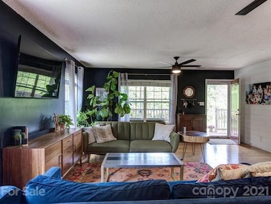 64 Overlook Dr, Leicester, NC 28748 - photo 7