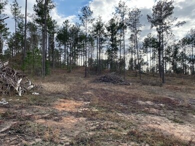 1915 Cr 620, Nacogdoches, TX 75964 - photo 5