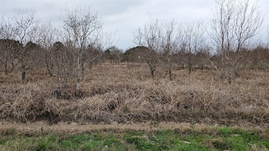 0 Bobwhite unit 84676240, Brookshire, TX 77423 - photo 5