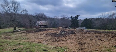 TBD Willie Usher Rd, Lancaster, SC 29720 - photo 2
