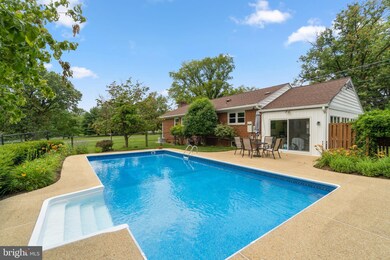 1203 Ednor Rd, Silver Spring, MD 20905 - photo 6