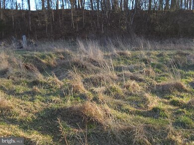 Lot 2 Route 51 - Middleway Pike, Bunker Hill, WV 25413 - photo 3