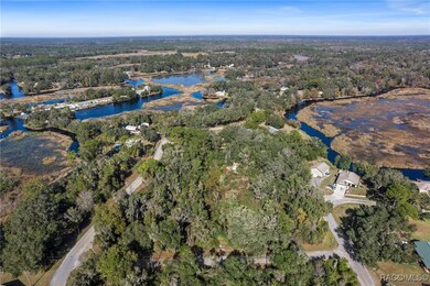 4351 N Mate Ln, Hernando, FL 34442 - photo 5