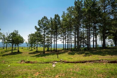 2850 River Bluffs Dr, Jasper, TN 37347 - photo 5