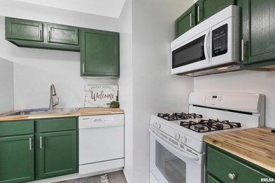 7311 Cedar St, Davenport, IA 52806 - photo 7