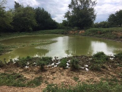 1 Shelbyville Mills Rd, Shelbyville, TN 37160 - photo 7