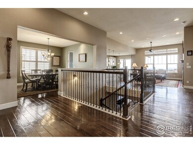 8680 Zircon Way, Arvada, CO 80007 - photo 7