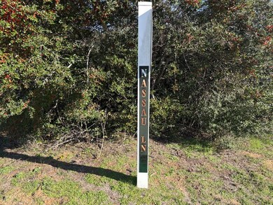 20 Nassau Ln, Normangee, TX 77871 - photo 5